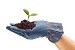 plant thumb