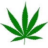 What About CBD Products?